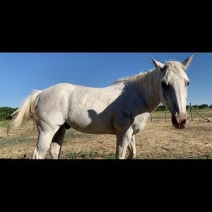 Meet your Posher, Cherity